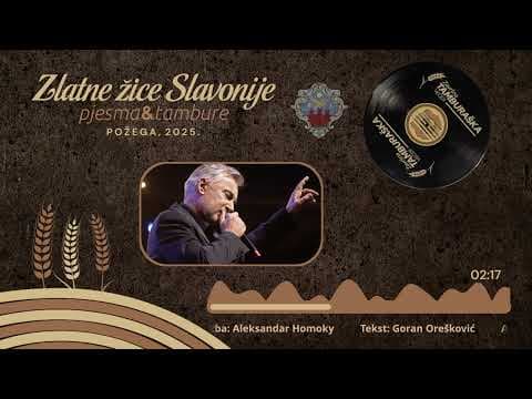 MIROSLAV ŠKORO - Godina je previše